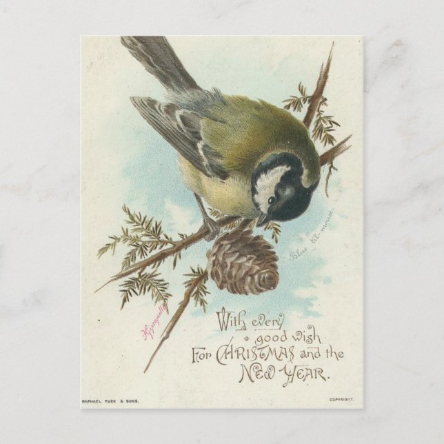 Postal Rama Vintage De Aves Y Pinos (Anverso)