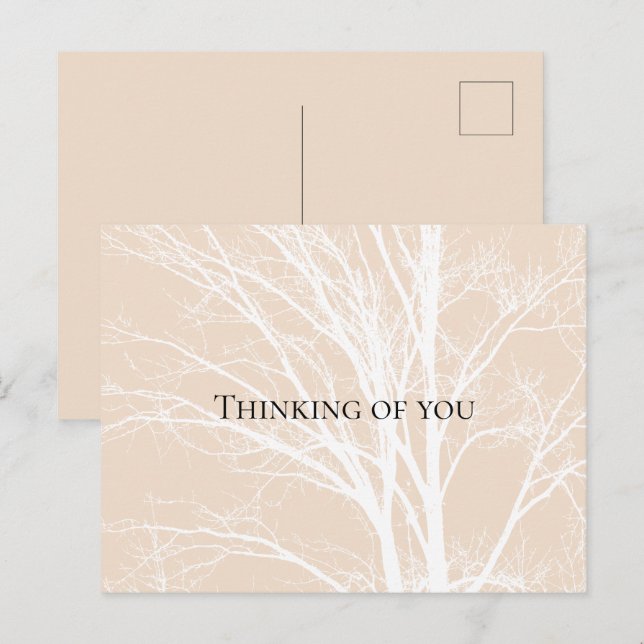 Postal Ramas de árbol blancas crema rústicas (Anverso / Reverso)