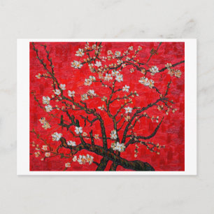 Postal Ramas de árbol de almendros en Blossom, Van Gogh