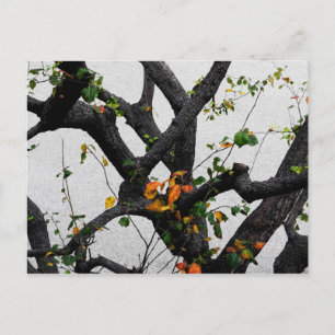 Postal Ramas de árbol de otoño