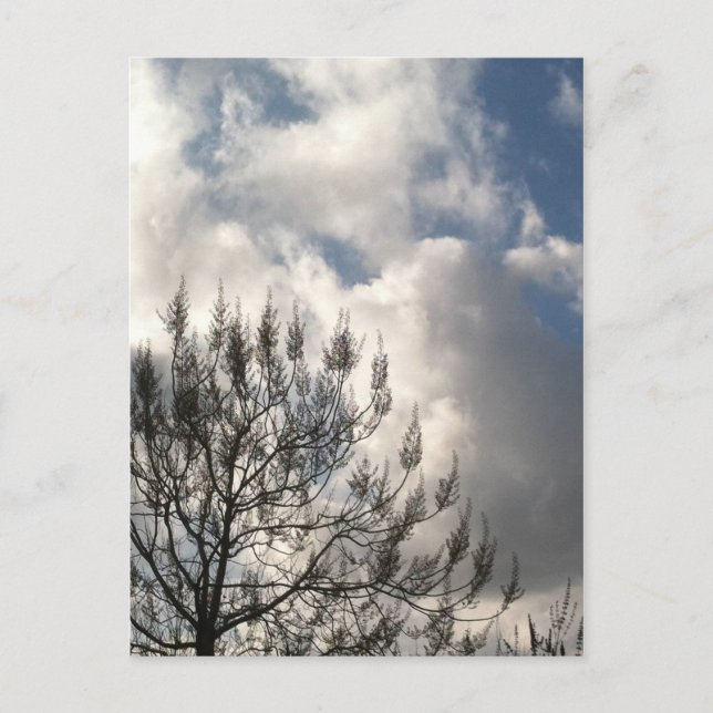 Postal Ramas de las nubes (Anverso)