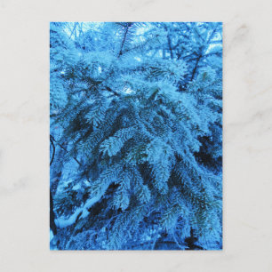 Postal Ramas prudentes cubiertas de nieve y cristales de