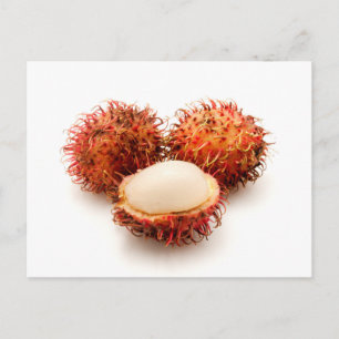 Postal Rambutan