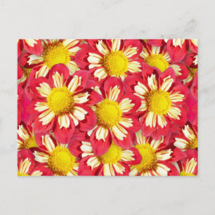 Postal Ramo de Dahlia - coral y blanco con amarillo