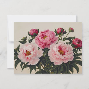 Postal Ramo de flores de peonía en flor rosadas