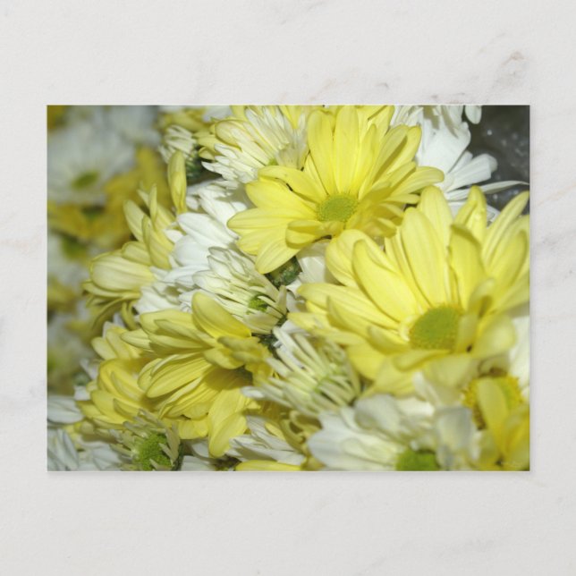 Postal Ramos de margaritas (Anverso)