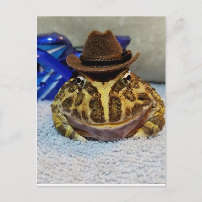 Postal Rana (Anverso)