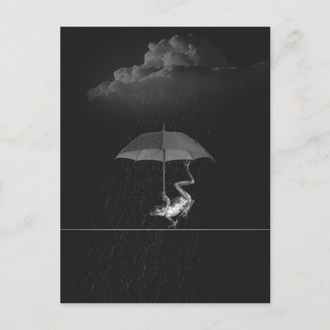 Postal Rana blanca y negra togosa con paraguas en lluvia (Anverso)