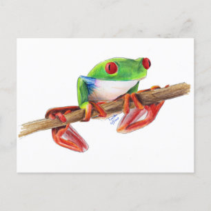 Postal Rana de árbol Treefrog adorable dibujo de ilustrac
