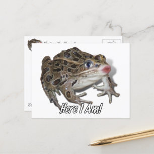 Postal Rana de besar - ¡Búbete, cariño!