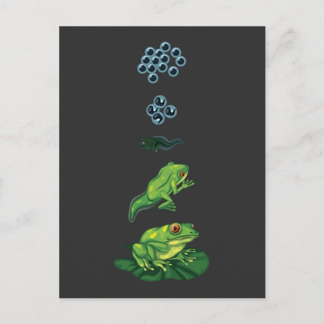 Postal Rana del ciclo de vida Metamorfosis Huevo Tadpole  (Anverso)