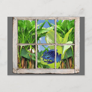 Postal Rana del dardo del veneno