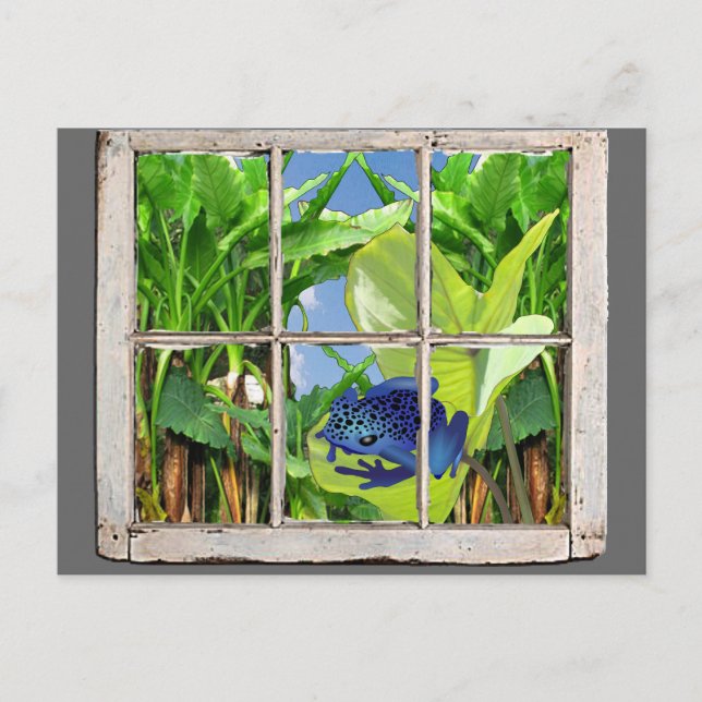 Postal Rana del dardo del veneno (Anverso)