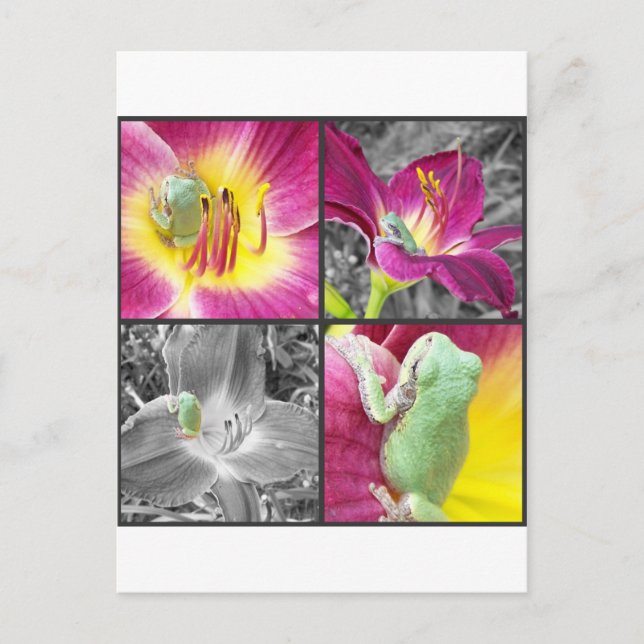 Postal Rana en collage de flores (Anverso)