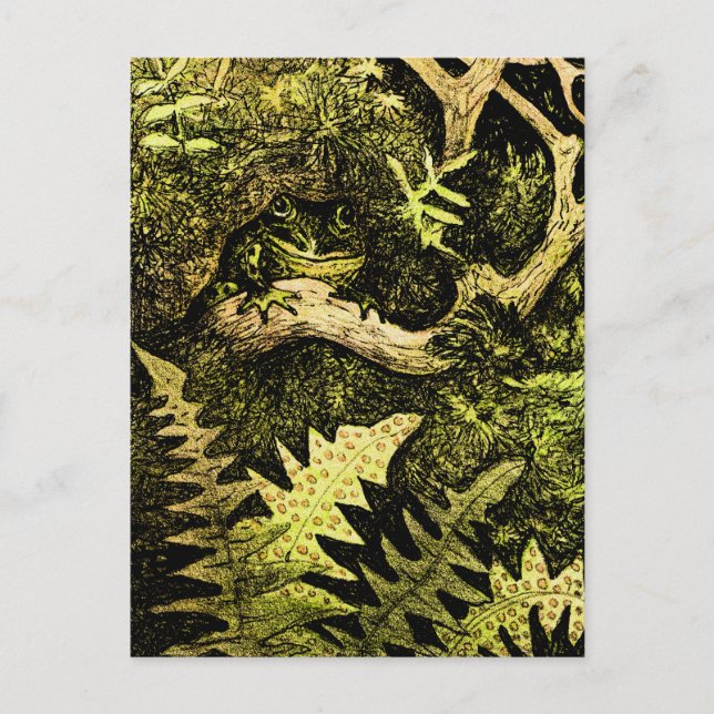 Postal Rana holandesa de Art Nouveau en el árbol (Anverso)