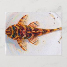 Postal rana leopardo L134 pleco