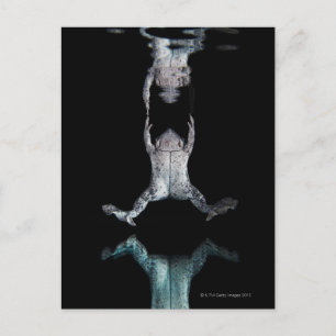 Postal Rana nadadora