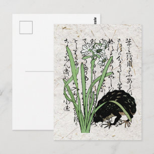Postal Rana Sapo Botánico Japonés del Siglo XVIII 