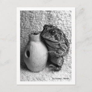 Postal Rana sapo con fotografía de percusión udu