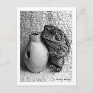Postal Rana sapo con fotografía de percusión udu