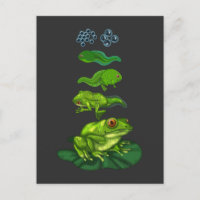 Rana Tadpole Biología Metamorfosis Arte del ciclo