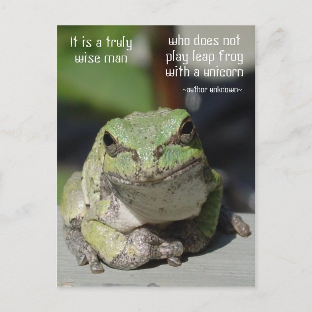 Postal Rana y unicornio (Anverso)