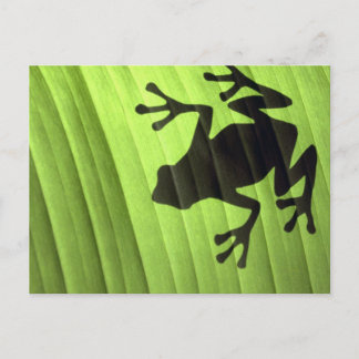 Postal Ranas