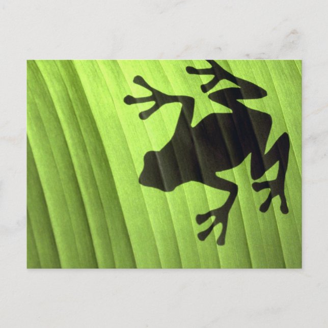 Postal Ranas (Anverso)