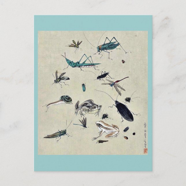 Postal Ranas, caracoles e insectos (Anverso)