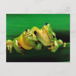 Postal Ranas divertidas