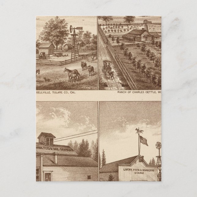 Postal Ranches, establos, Tulare Co, Cal (Anverso)