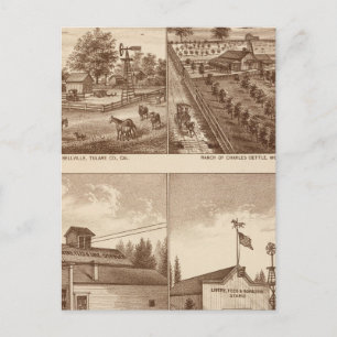 Postal Ranches, establos, Tulare Co, Cal