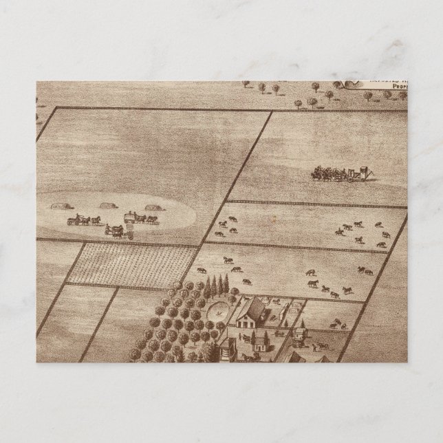 Postal rancho de Bertch (Anverso)