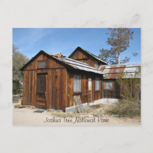 Postal Rancho de llaves, árbol Joshua