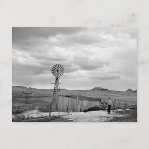 Postal Rancho de ovejas de Montana, 1942