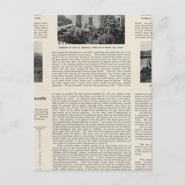 Postal Rancho de Table Grove, California (Anverso)