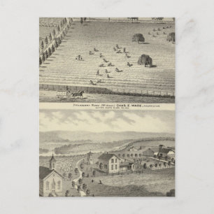 Postal Rancho de Wade, residencia de Weller