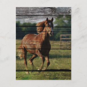 Postal Rancho del campo de Woodgrain de Barn Galloping Ca
