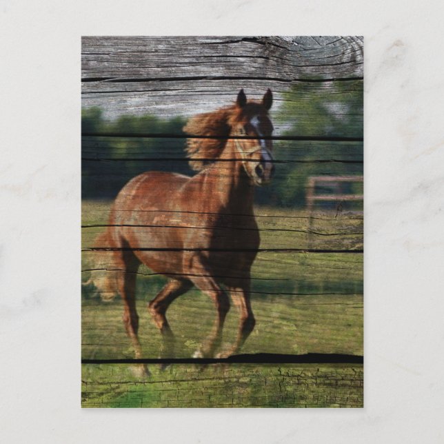 Postal Rancho del campo de Woodgrain de Barn Galloping Ca (Anverso)