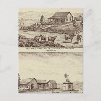 Postal ranchos de ovejas de Creek Deer