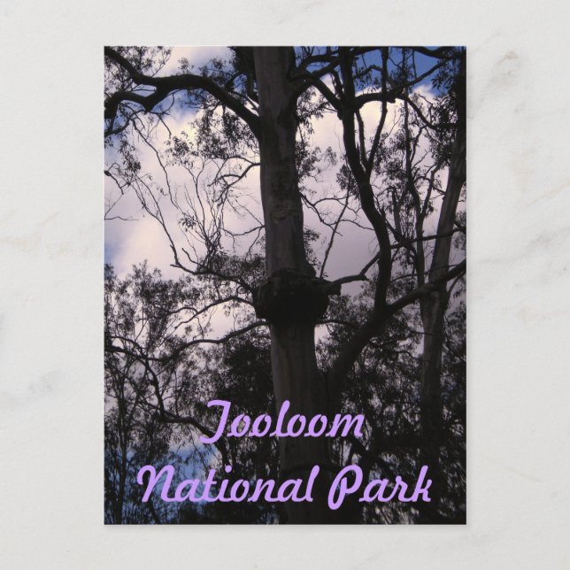 Postal Rangos Gondwana de la UNESCO, Australia (Anverso)