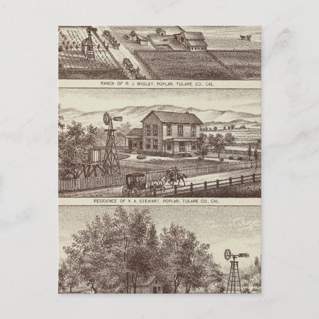 Postal Rangos populares (Anverso)