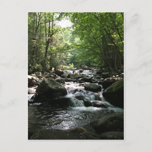 Postal Rapids (Anverso)