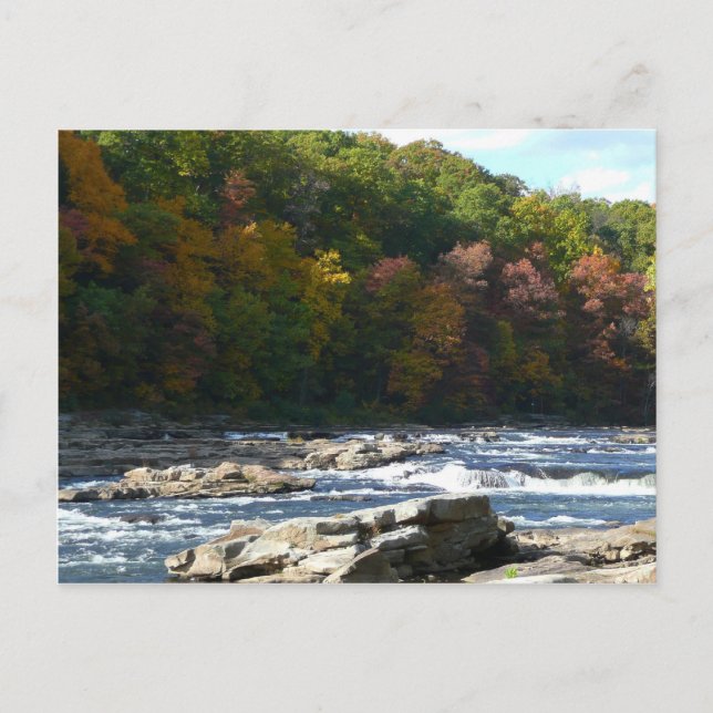 Postal Rapids del río Ohiopyle en el otoño de Pensilvania (Anverso)