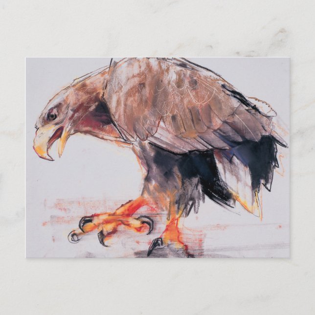 Postal Raptor 2001 (Anverso)