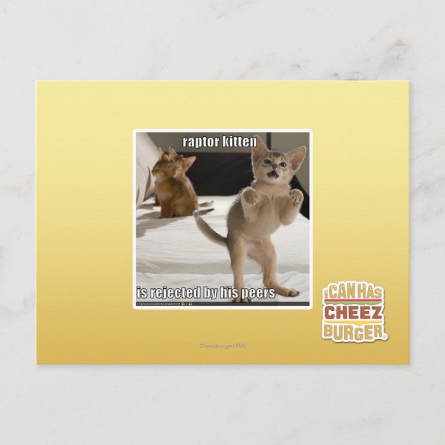Postal Raptor Kitten (Anverso)