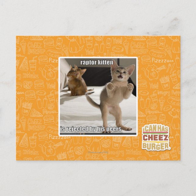 Postal Raptor Kitten (Anverso)