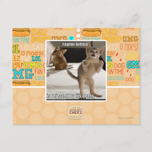 Postal Raptor Kitten (Anverso)