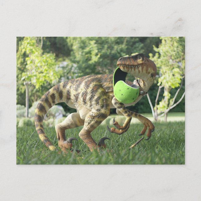 Postal Raptor PygmyPets 3D - Postcard (Anverso)