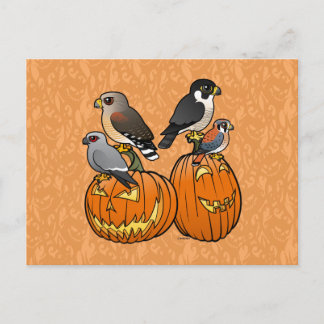 Postal Raptores Birdorables en calabazas